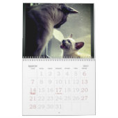 Siamese kalender opgroeien (Mar 2027)