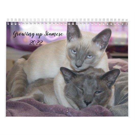 Siamese kalender opgroeien (Hoes)