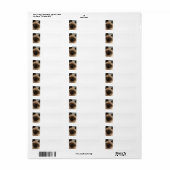 Siamese kat adresetiketten etiket (Full Sheet)