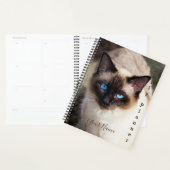 Siamese Kat - Dagelijkse Planner- HAMbWG Planner (Display)