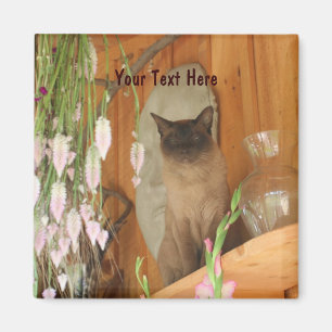 Siamese Kat die de Dierlijke Magneet van de Fotogr
