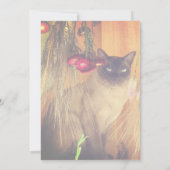 Siamese Kat Dierenfeest Kaart (Achterkant)