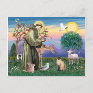 Siamese Kat en Sint Franciscus Briefkaart