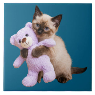 Siamese kat en teddybeer decoratieve Tegel Tegeltje