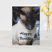 Siamese kat Happy Birthday Kaart (Gele Bloem)