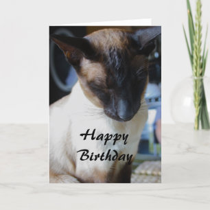 Siamese kat Happy Birthday Kaart