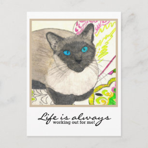 Siamese kat - "Het leven werkt altijd voor mij!" Briefkaart