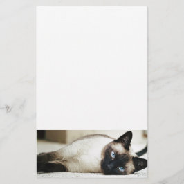 Siamese kat huisdier briefpapier