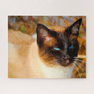 Siamese kat . Jigzaag Puzzle Legpuzzel