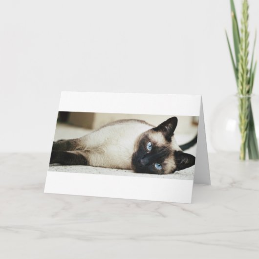 Siamese Kat Kaart (Voorkant)