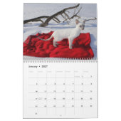 Siamese kat kalender 2024 (Jan 2027)