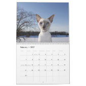 Siamese kat kalender 2024 (Feb 2027)
