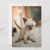 Siamese kat Kerstmis Feestdagenkaart (Voorkant)