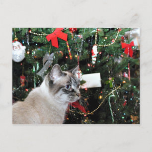 Siamese kat Kerstmis Feestdagenkaart