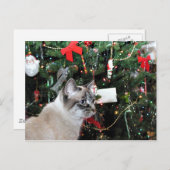 Siamese kat Kerstmis Feestdagenkaart (Voorkant / Achterkant)