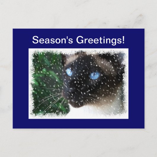 Siamese Kat Kerstmis Winter Feestdagenkaart (Voorkant)