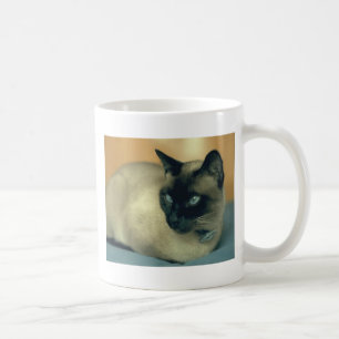 Siamese kat koffiemok