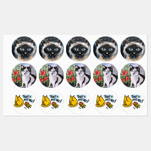 Siamese kat labels