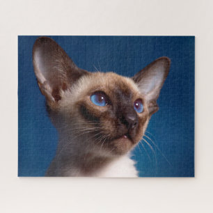 Siamese Kat . Legpuzzel