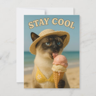 Siamese kat likt ijs om koel te blijven briefkaart