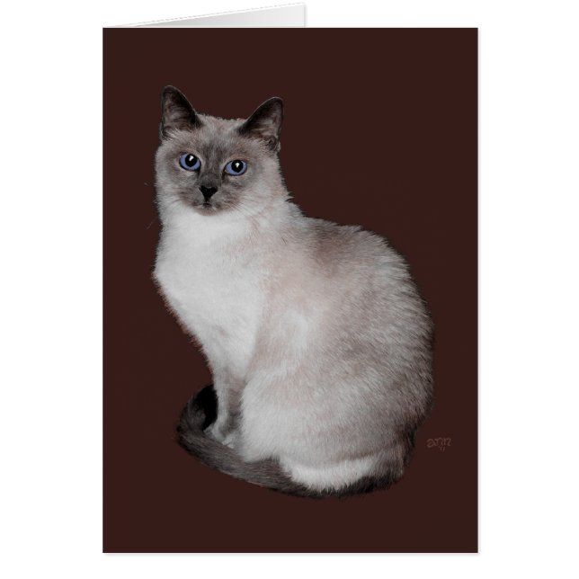 Siamese Kat met Blauwe Ogen (Voorkant)