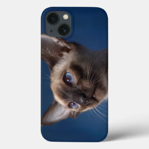Siamese kat met blauwe ogen iPhone 13 hoesje