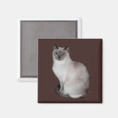 Siamese kat met blauwe ogen magneet (Voorkant / Achterkant)