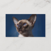 Siamese kat met blauwe ogen visitekaartje (Achterkant)