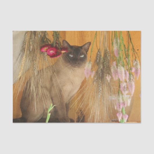 Siamese kat met bloemen ontkoppeling tissuepapier (Voorkant)