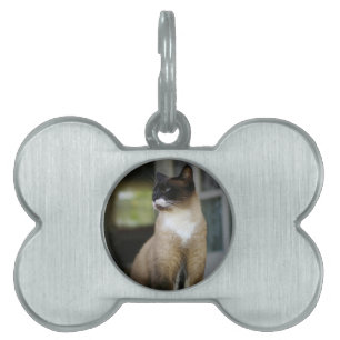 Siamese kat op de Porch Huisdieren Naamplaatje