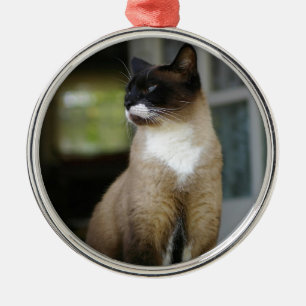Siamese kat op de Porch Metalen Ornament