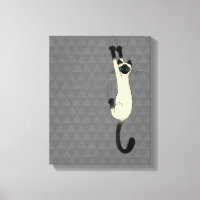 Siamese kat op | Funny Cat