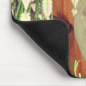 Siamese kat Posing #1 Muismat (Hoek)