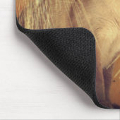 Siamese kat Posing #3 Dier Muismat (Hoek)