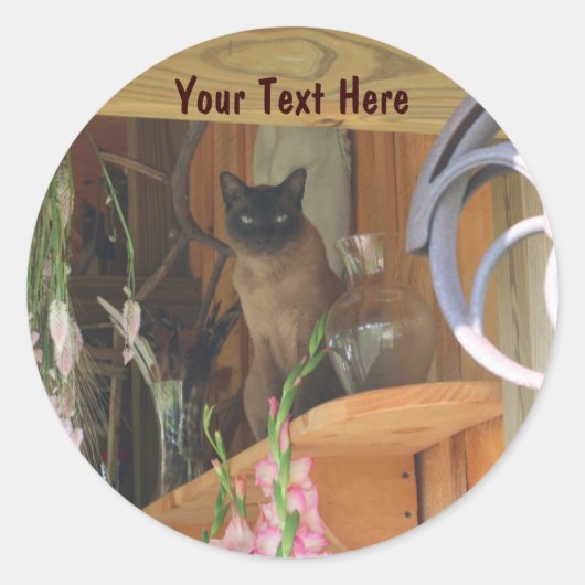 Siamese kat Posing Animal Fotografie sticker #2 (Voorkant)
