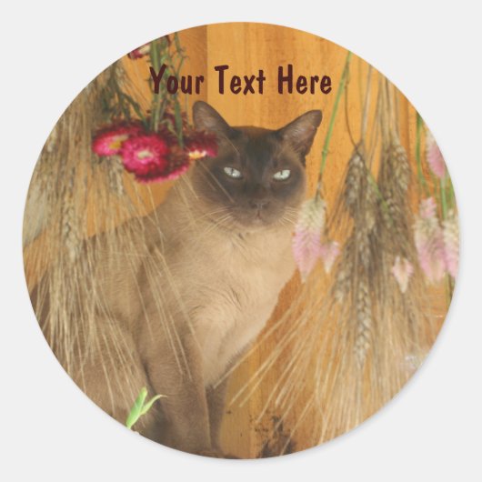 Siamese kat Posing Animal Fotografie sticker #3 (Voorkant)
