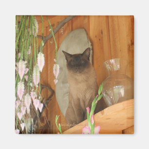 Siamese kat Posing Animal Photography Magnet #1 Magneet