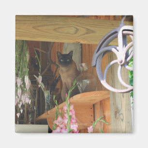Siamese kat Posing Animal Photography Magnet #2 Magneet