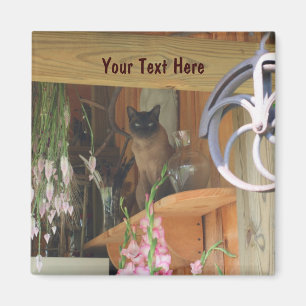 Siamese kat Posing Animal Photography Magnet #2 Magneet
