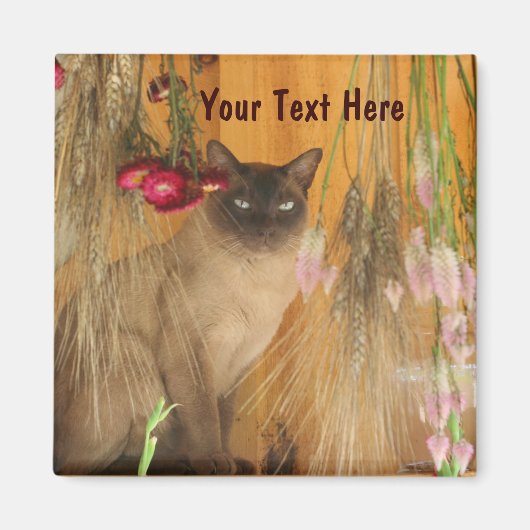Siamese kat Posing Animal Photography Magnet #3 Magneet (Voorkant)