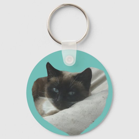 Siamese kat sluit de buis af. BG Colour Sleutelhan Sleutelhanger (Voorkant)