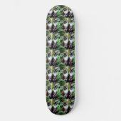 Siamese Kat Twins, Skateboard (Voorkant)