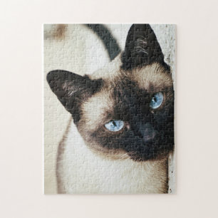 Siamese kattenpuzzel legpuzzel