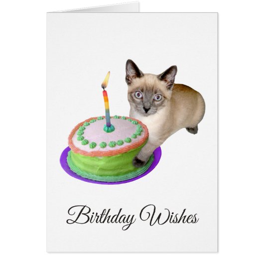 Siamese Kitten avec carte d'anniversaire de gâteau (Devant)
