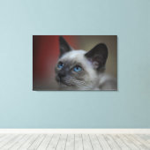 Siamese kitten canvas afdruk (Insitu (Houten vloer))