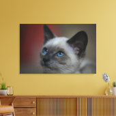 Siamese kitten canvas afdruk (Insitu (Woonkamer))