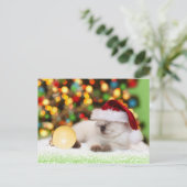 Siamese Kitten: Gold Ornament Briefkaart (Staand voorkant)