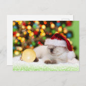 Siamese Kitten: Gold Ornament Briefkaart (Voorkant / Achterkant)