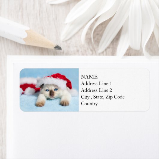 Siamese Kitten: kerstKat Etiket (Insitu)