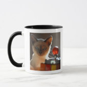 Siamese kitten mok (Links)